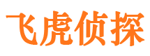 顺城外遇调查取证